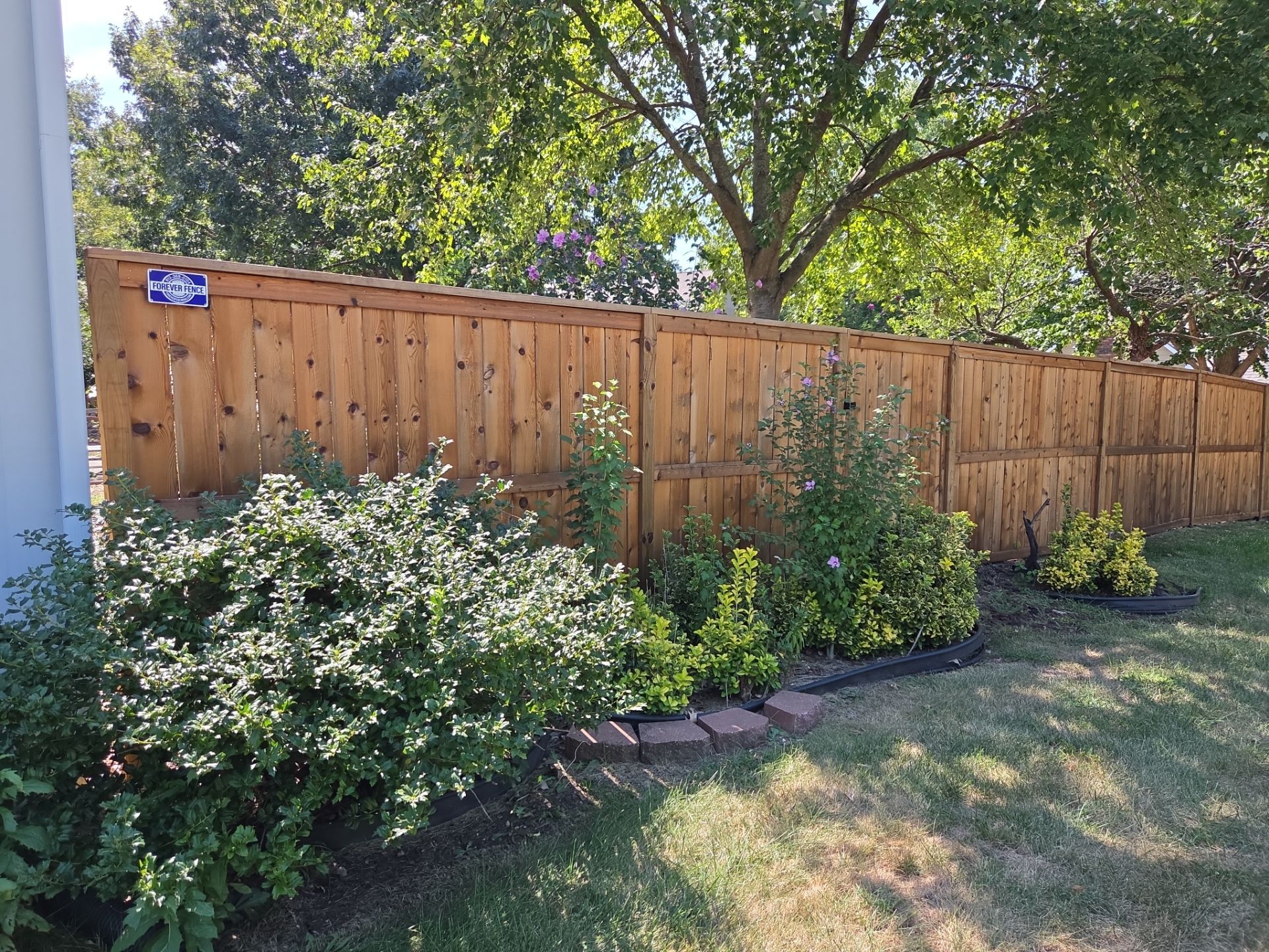 Wooden fence staining in Topeka, KS with lush green bushes.